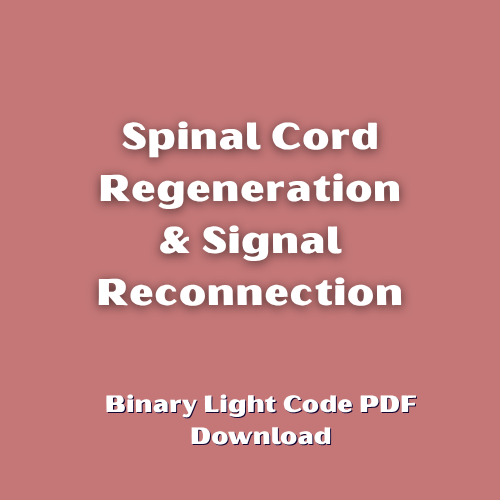 Spinal Cord Regeneration & Signal Reconnection