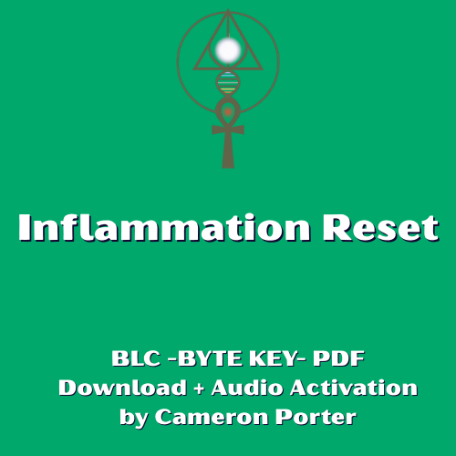 BYTE KEY - Inflammation Reset PDF Download + Audio Activation by Cameron Porter